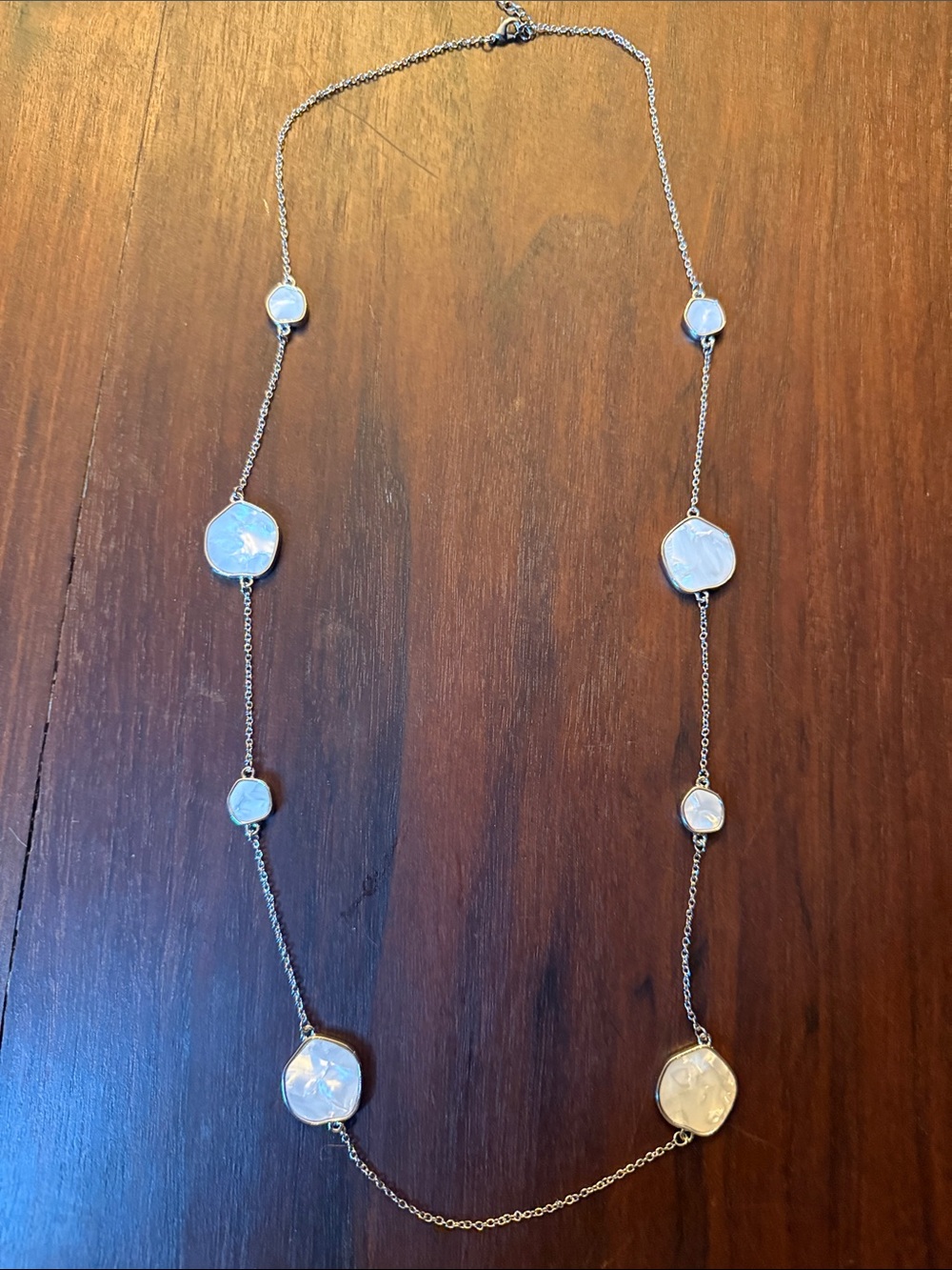 Freida Rothman Silver Long Station Necklace with White Mother of Pearl Discs